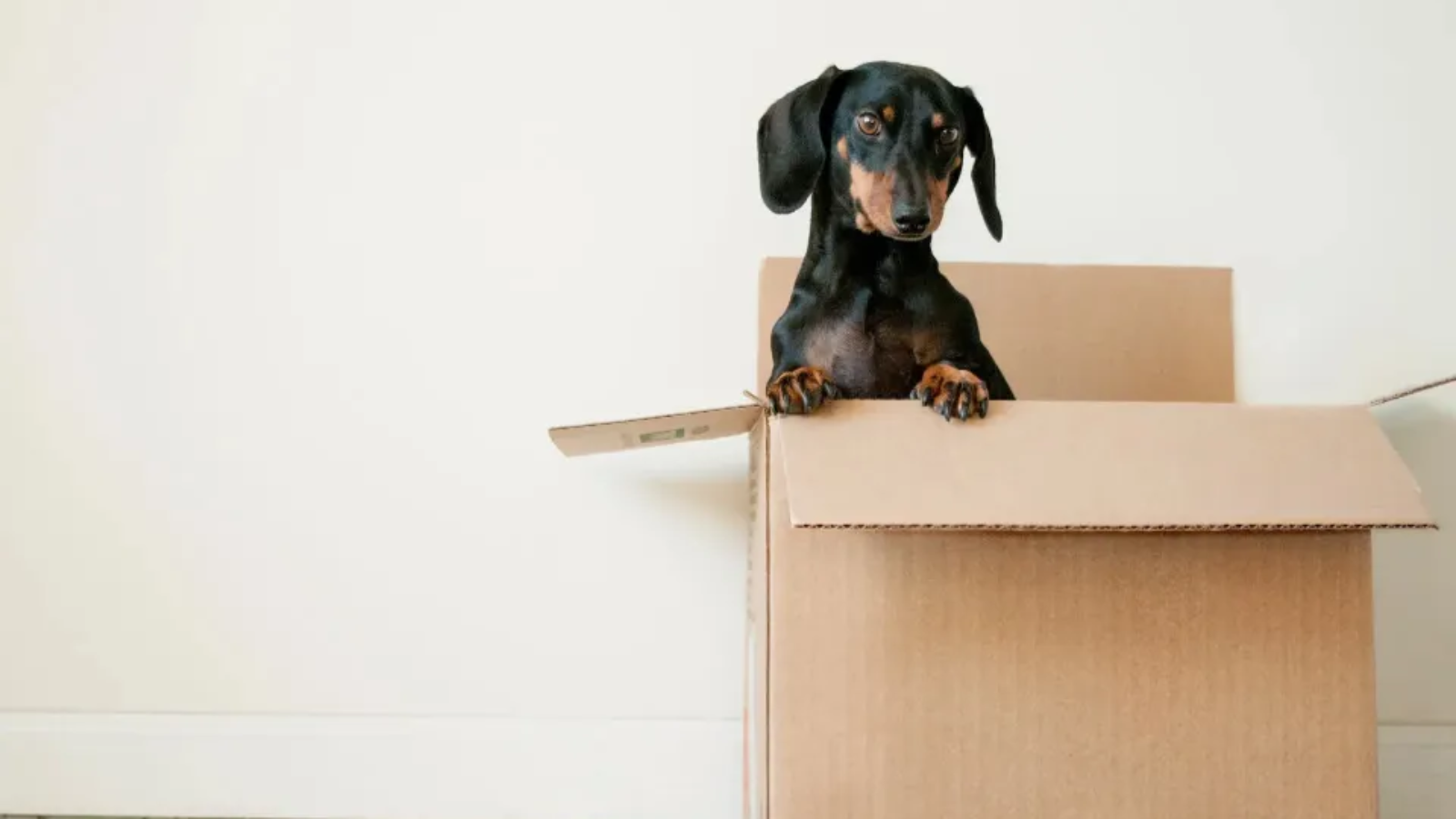 We-are-moving-main