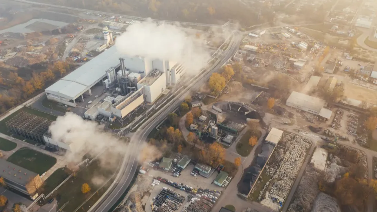 We-have-offset-28.24-tonnes-of-CO2-so-far-in-2022-main