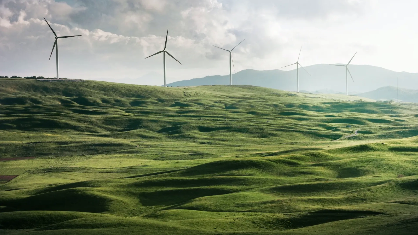 Full Renewable Energy Website Hosting